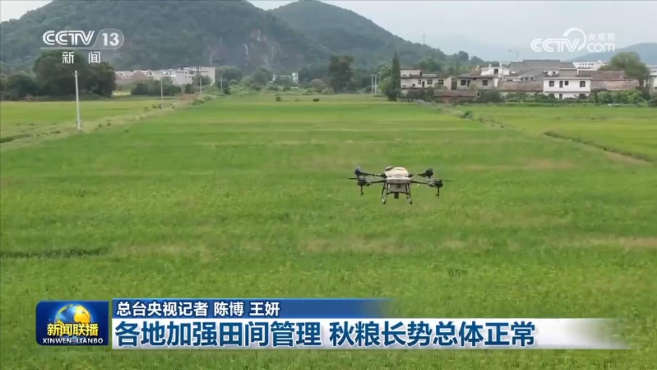 各地加強(qiáng)田間管理 秋糧長(zhǎng)勢(shì)總體正常(圖3)