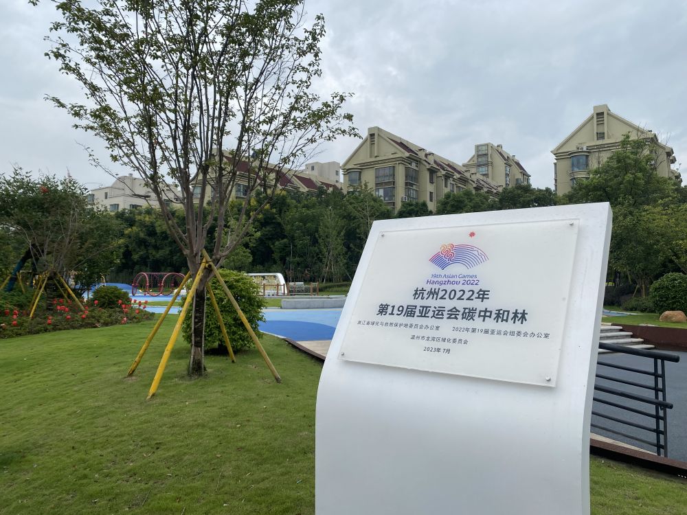 亞運會前看浙江丨溫州：千年商港蓄勢待發迎亞運(圖3)