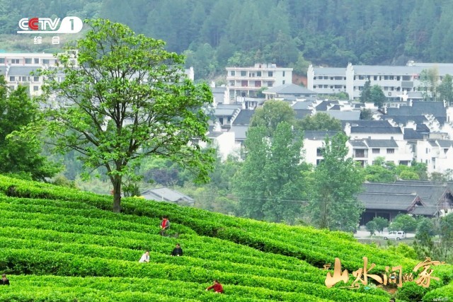 《山水間的家》：千年家風助鄉村振興，“老家真好”悟濃濃鄉愁(圖3)