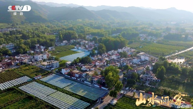 《山水間的家》：千年家風助鄉村振興，“老家真好”悟濃濃鄉愁(圖2)