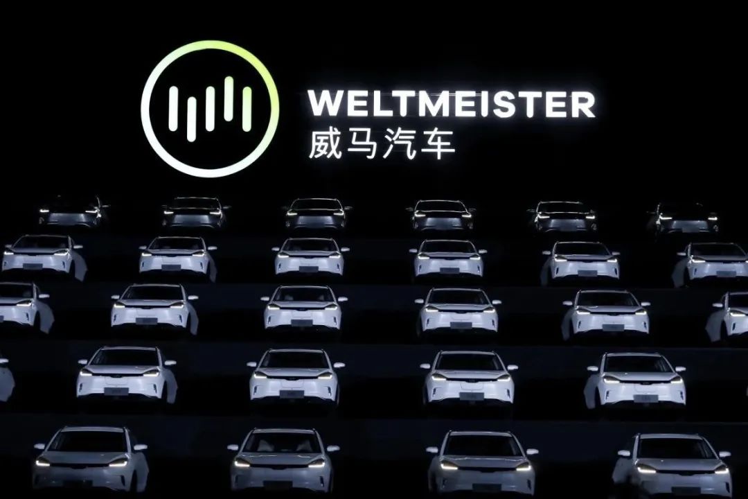 創始人沈暉成功出海,威馬汽車卻沒出海(圖10) 圖片