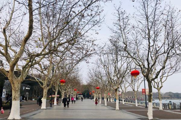 2024上海世紀(jì)公園賞梅游園會(huì)時(shí)間