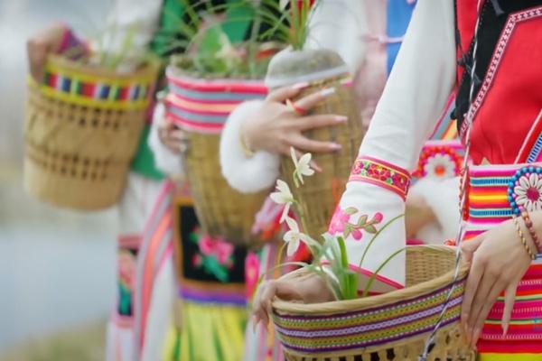 第31屆中國(guó)（維西）蘭花博覽會(huì)舉辦時(shí)間和舉辦地點(diǎn)