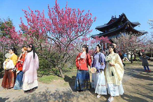 2024南京國際梅花節時間+地點+攻略