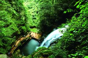 碧峰峽風(fēng)景區(qū)門票價(jià)格2024