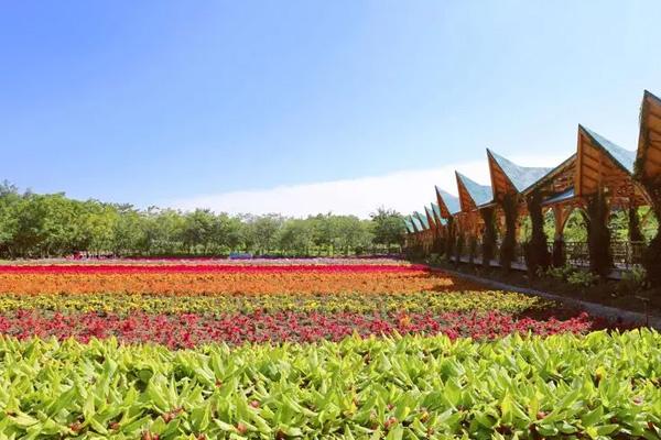 2024丹櫻生態(tài)園門(mén)票優(yōu)惠政策