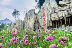 2024天府花溪谷景區門票優惠政策