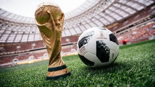 2024年歐洲杯小組賽D組首輪：荷蘭隊2比1逆轉波蘭隊