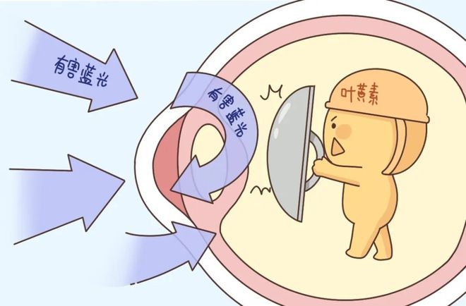 葉黃素對眼睛真的有效嗎？一文讀懂它的功效與作用(圖1)