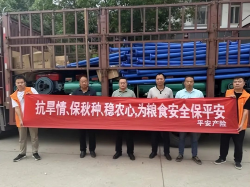 南澇北旱態(tài)勢持續(xù)，平安產(chǎn)險多措并舉做好防汛抗旱工作(圖7)