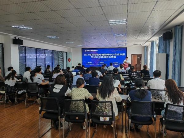 肥東縣組織召開2024年安徽省專精特新中小企業申報專題培訓暨融資宣貫會