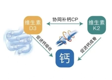 缺鈣怎么補？液體鈣有用嗎？鈣片哪個牌子好(圖3)