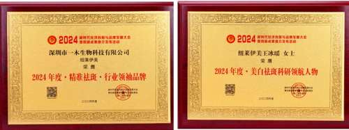 紐萊伊美閃耀新時代經(jīng)濟(jì)創(chuàng)新品牌發(fā)展大會，榮獲精準(zhǔn)斑雙項(xiàng)大獎