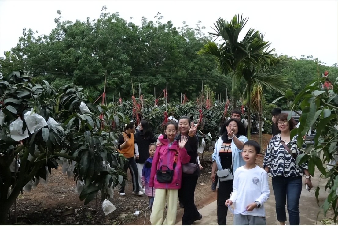 山海聯動！晉瓊康養新生態鏈，“健康家園”在海南！(圖19)