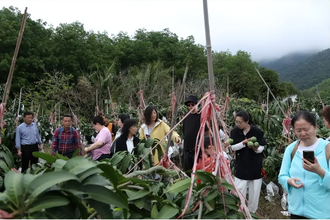 山海聯動！晉瓊康養新生態鏈，“健康家園”在海南！(圖24)