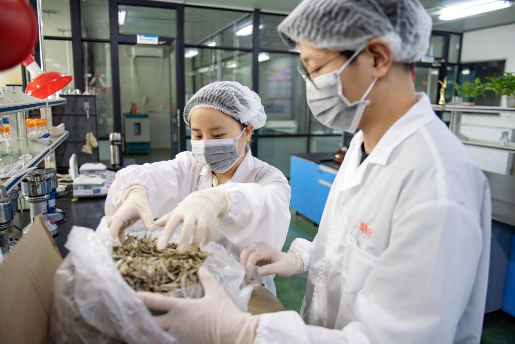 新華全媒+丨貿(mào)易規(guī)模有突破 促穩(wěn)提質(zhì)有支撐――透視我國(guó)外貿(mào)進(jìn)出口半年報(bào)