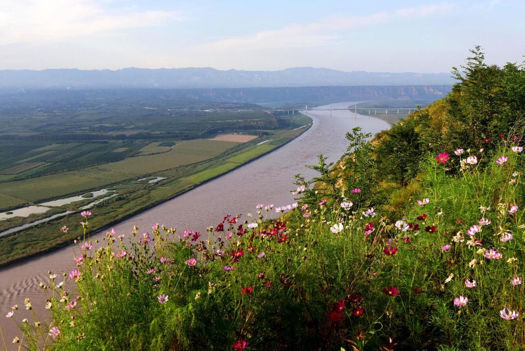新時代中國調研行?黃河篇丨黃、綠、紅三色看黃河沿岸變化