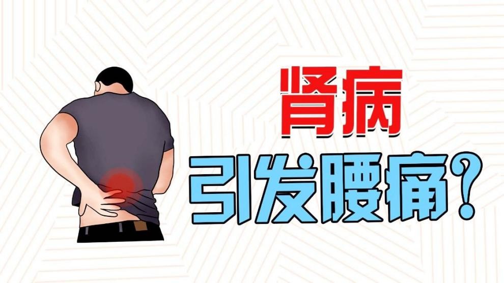 白羽醫(yī)生提醒：腰部隱隱脹痛，可能是腎臟發(fā)出的求救信號(hào)