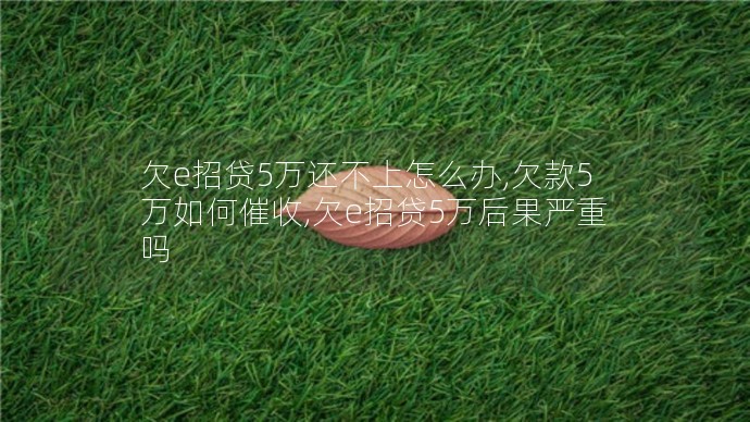欠e招貸5萬還不上怎么辦,欠款5萬如何催收,欠e招貸5萬后果嚴重嗎