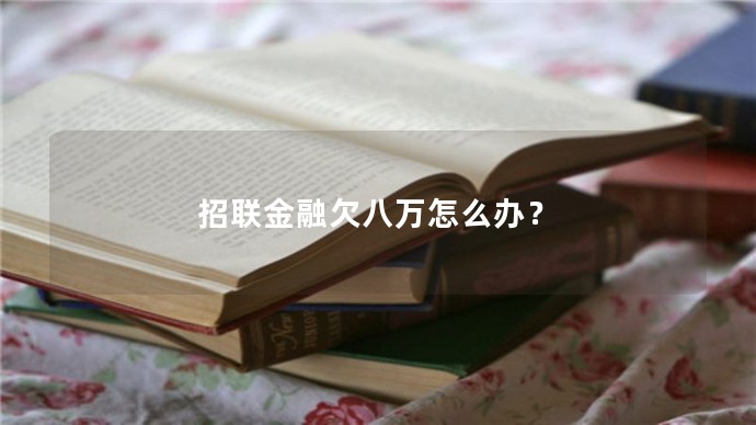 招聯金融欠八萬怎么辦？